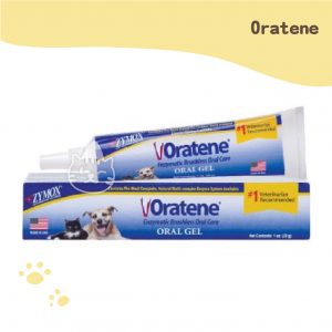 Oratene三酵合一口腔軟膏-28ML