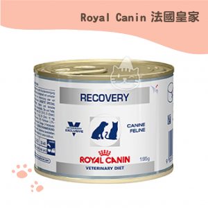 皇家 恢復期營養補給配方罐頭(犬貓用) 195g(效期2021.02.11)