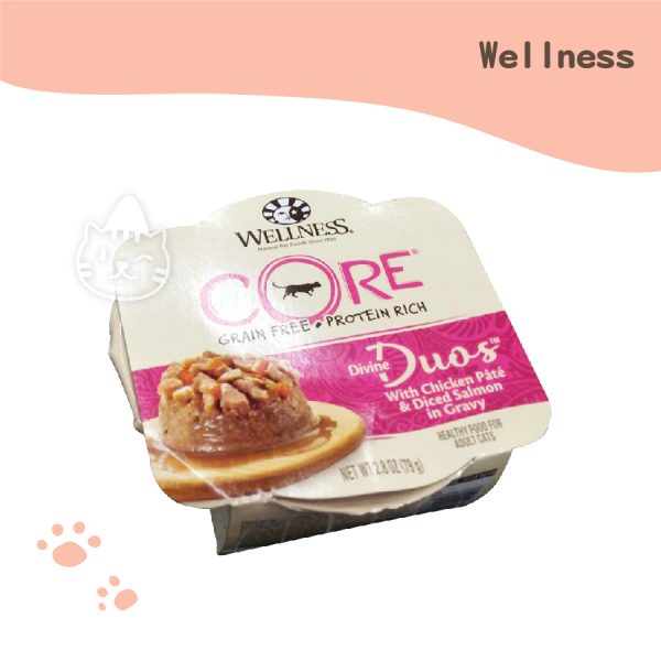 WELLNESS CORE DD寵鮮杯 貓用79g (鮭魚丁+雞肉泥).