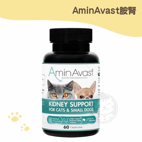 胺腎(貓或小型犬用) 60顆入