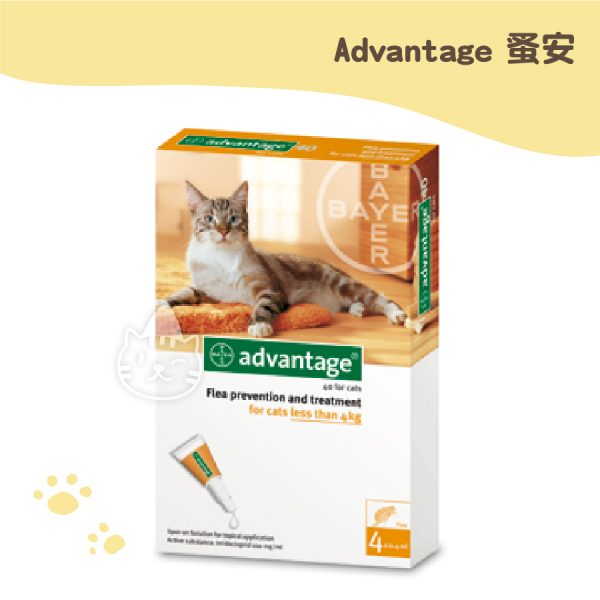Advantage for Cat 蚤安40貓用系列(網路不販售)