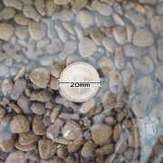 LV藍帶挑嘴鮪魚蔬果化毛成貓1kg-560-01
