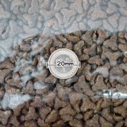 LV藍帶鮭魚蔬果幼母貓 1kg-577-01