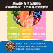 小包裝一頁式介紹_野生魚-04