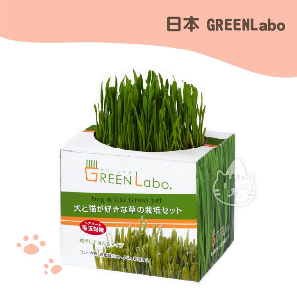 日本Green Labo-DIY新鮮貓草栽培組 日本Green Labo-DIY新鮮貓草栽培組