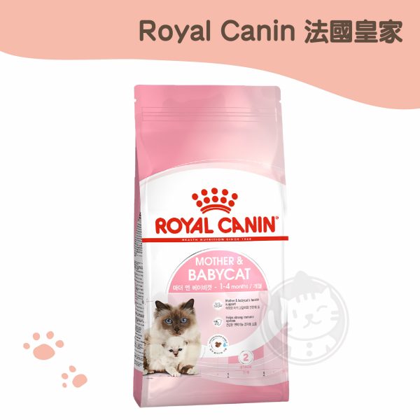 皇家 (BC34) 離乳貓原裝包