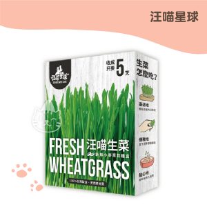 汪喵星球-貓咪生菜 新鮮貓草栽種盒 65g