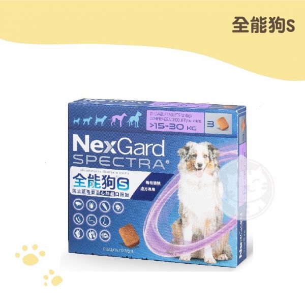 全能狗S大