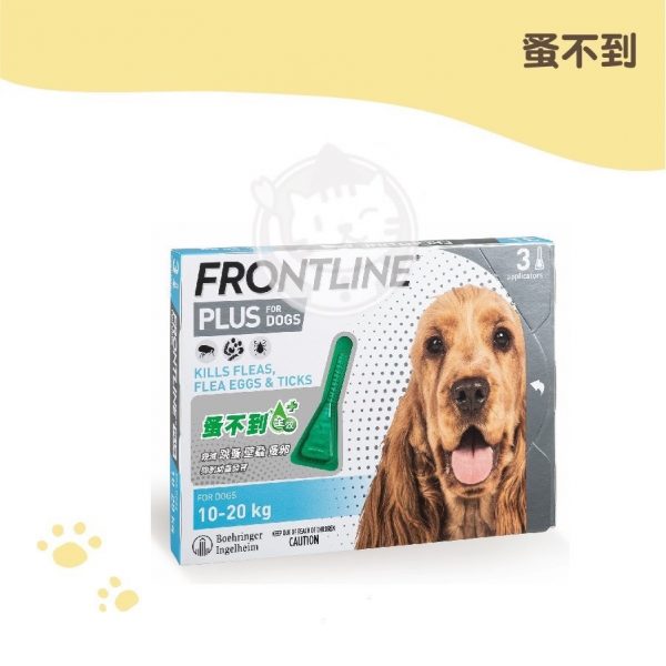 蚤不到中