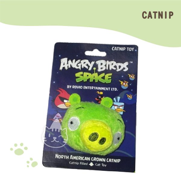CATNIP 綠色豬