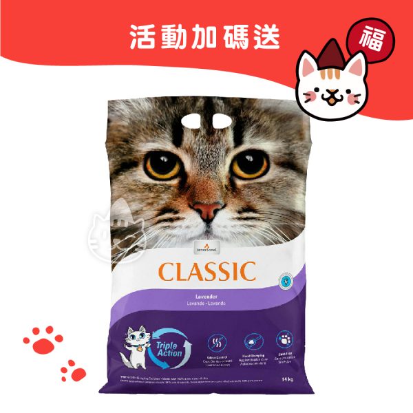 加拿大Intersand 晶鑽PLUS 薰衣草香凝結細砂