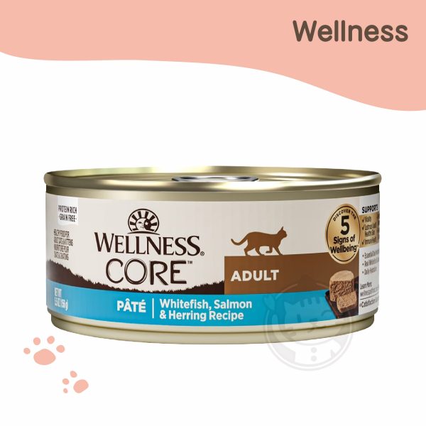 WELLNESS CORE 經典肉醬主食罐 白魚+鮭魚+鯡魚 156g
