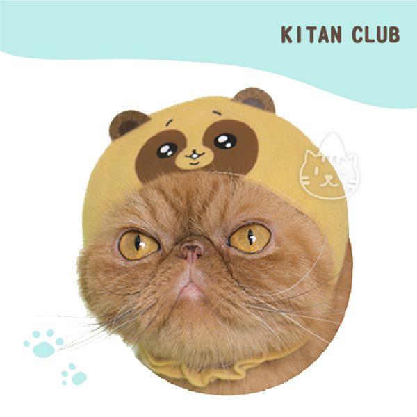 KITAN CLUB 森林變身頭套-萌浣熊 KITAN CLUB 森林變身頭套-萌浣熊