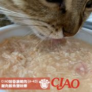 CIAO超香濃雞肉 (A-43) 貓罐(雞肉鮪魚蟹味棒) 80G