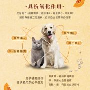 法米納天然南瓜無穀系列特色第3張_20220809