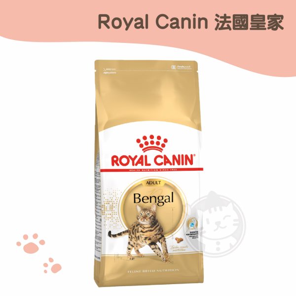 皇家 (BG40) 豹貓成貓原裝包