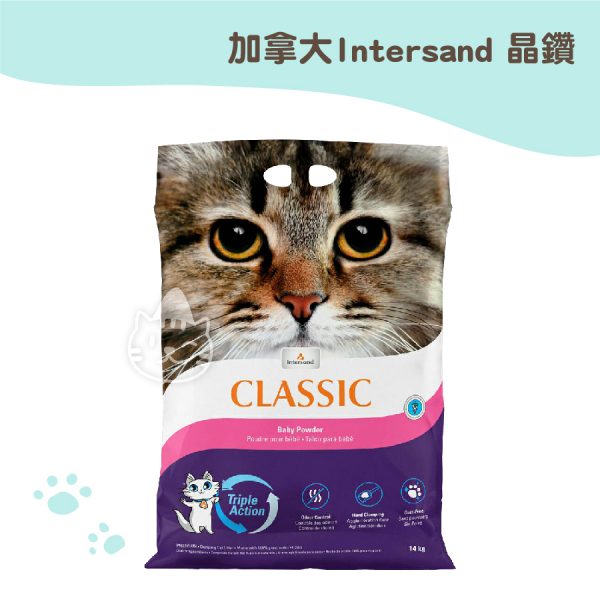 加拿大Intersand 晶鑽PLUS 低敏凝結細砂-嬰兒香 加拿大Intersand 晶鑽PLUS 低敏凝結細砂-嬰兒香