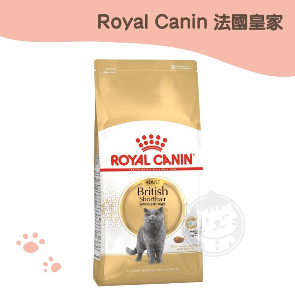 皇家 (BS34) 英國短毛成貓原裝包