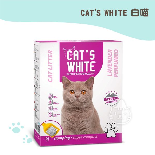 CAT'S WHITE土耳其原裝白喵貓砂(薰衣草) 6L