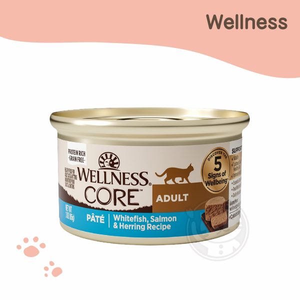 WELLNESS CORE 經典肉醬主食罐 白魚+鮭魚+鯡魚 85g