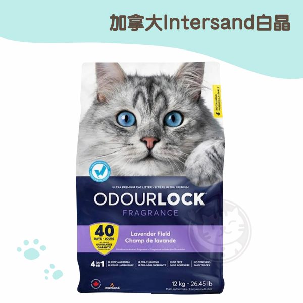 加拿大白晶強力凝結細砂(薰衣草) 12kg