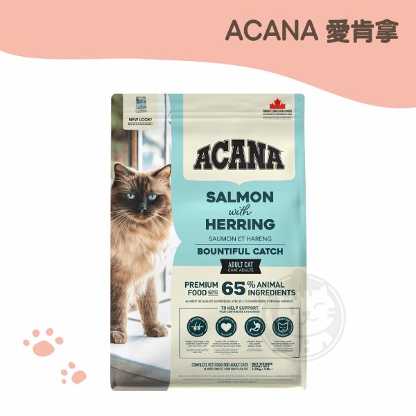 ACANA愛肯拿 豐盛魚獲貓 野生鮭魚+鱈魚+虹鱒魚