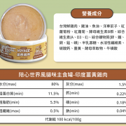 世界風 姜黃雞肉