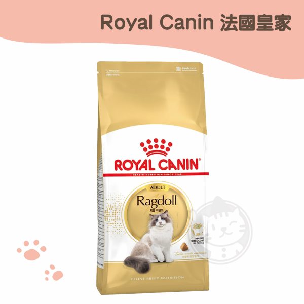 皇家RD32 布偶成貓原裝包