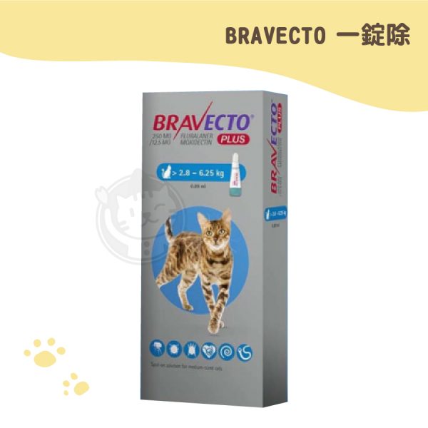 BRAVECTO 一錠除中型貓2.8-6.25KG (0.89ml1管)(網路不販售)