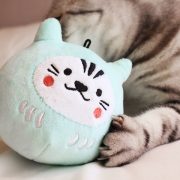 吉豆貓HITOCAT 祈福達摩貓草球