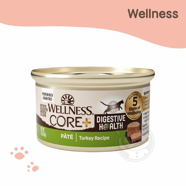 WELLNESS CORE DH新鮮火雞肉 腸胃消化機能配方 85g
