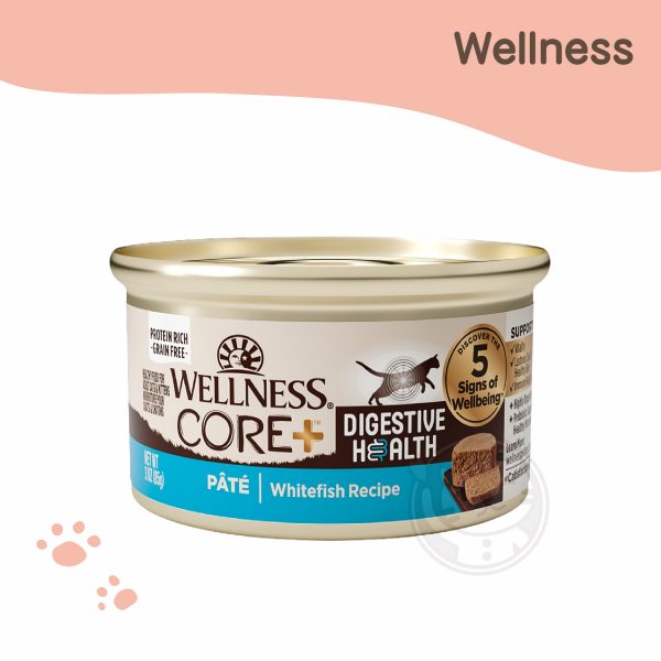 WELLNESS CORE DH新鮮白鮭魚 腸胃消化機能配方 85g