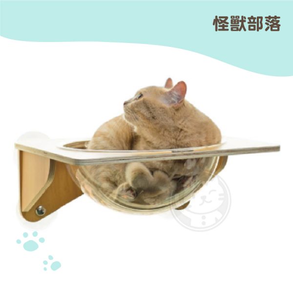 怪獸部落漫步雲端 吸盤式貓吊床(壓克力款)(採新竹物流配送)