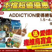 通用活動公版_文宣A4橫式13-2-03