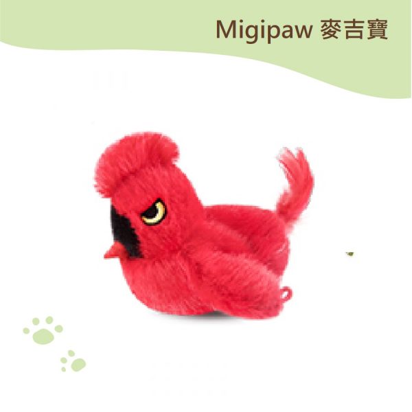 麥吉寶 紅鳥