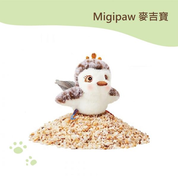 母小玉 麥吉寶
