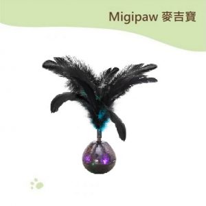 黑天鵝