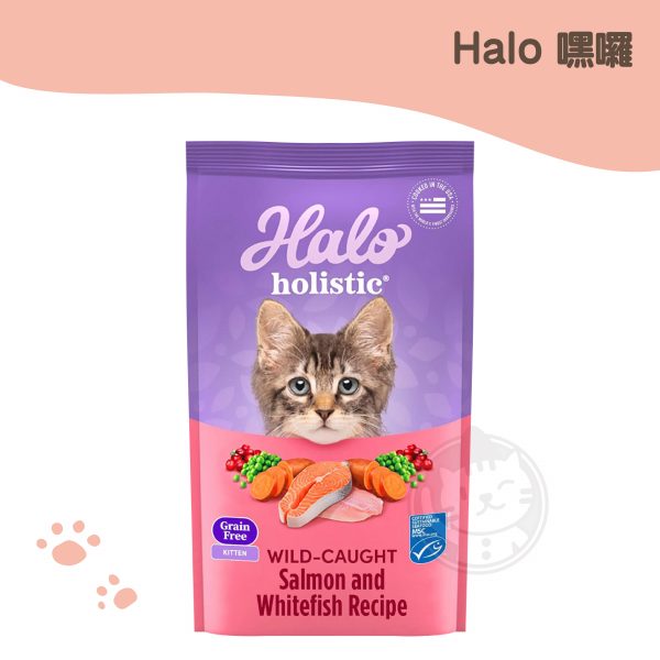 Halo 嘿囉 幼貓無穀野生鮭魚燉白魚