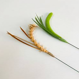 未命名