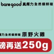 bg 原野火雞活動卡