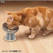 edenki_ed5888178_1_d_20250130183133